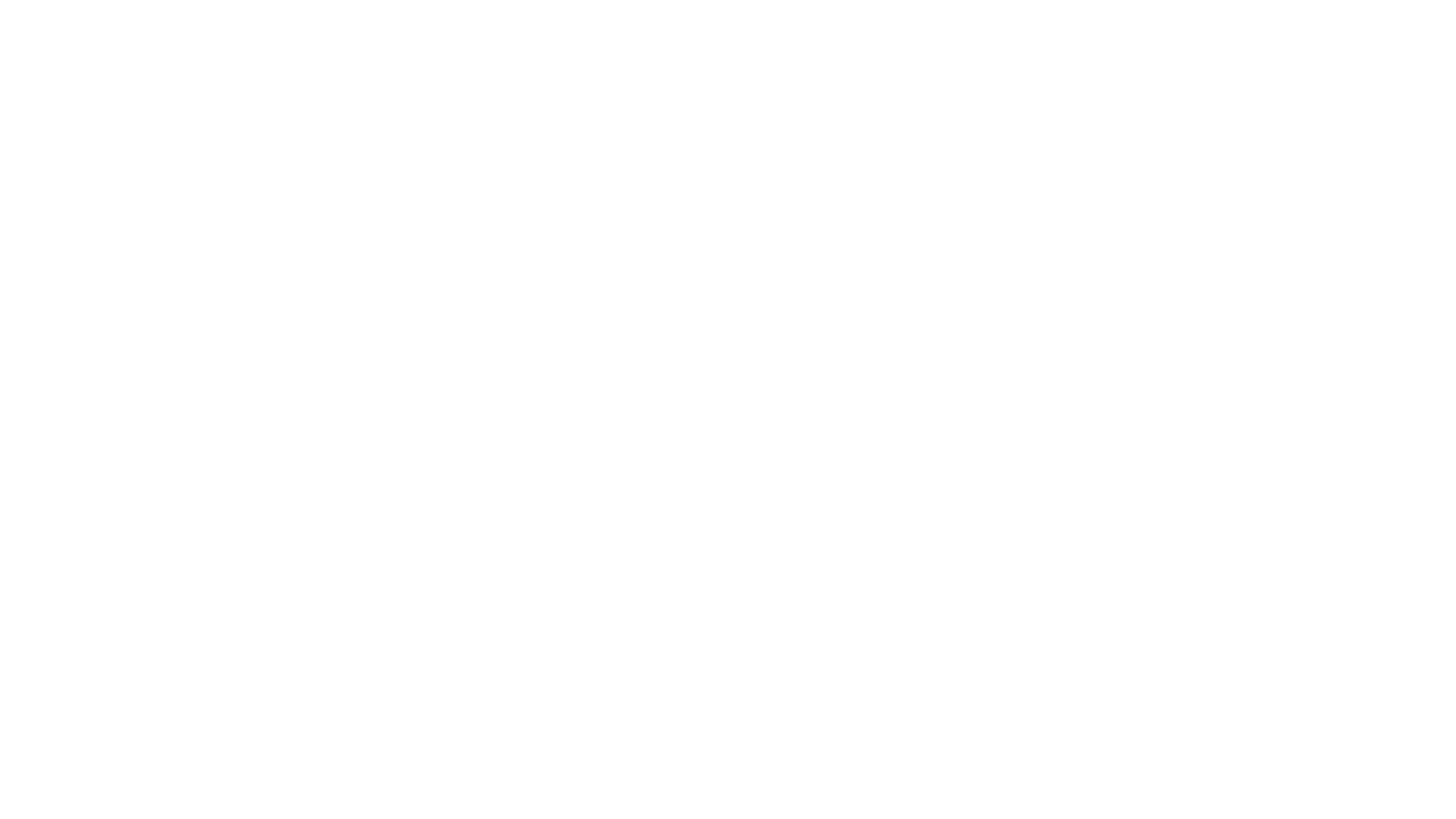 Metzeler